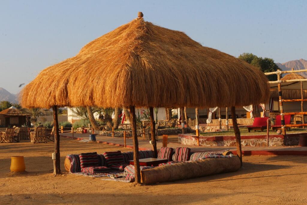 25Nuweiba Club